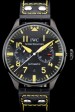 Iwc Schaffhausen Timepiece Replica Watches 4134